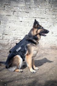 K 9 TIER Alpha Harness